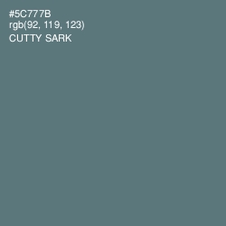 #5C777B - Cutty Sark Color Image
